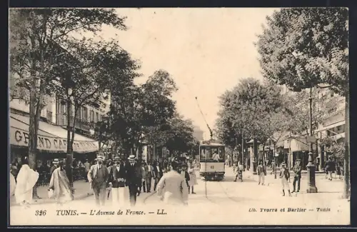 AK Tunis, L`Avenue de France, Strassenbahn