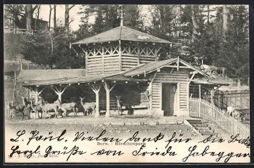 AK Bern, Hirschenpark mit Hochwild