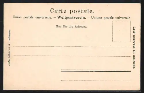 AK Zürich, Teilansicht mit Brücken und Alpen aus der Vogelschau