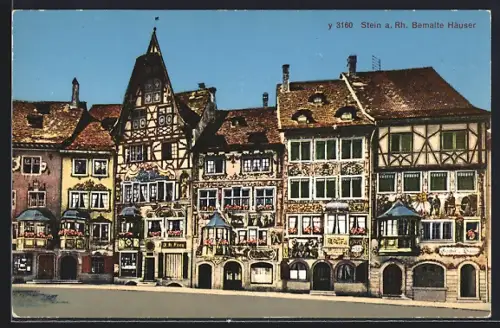 AK Stein a. Rh., Bemalte Häuser, Panorama