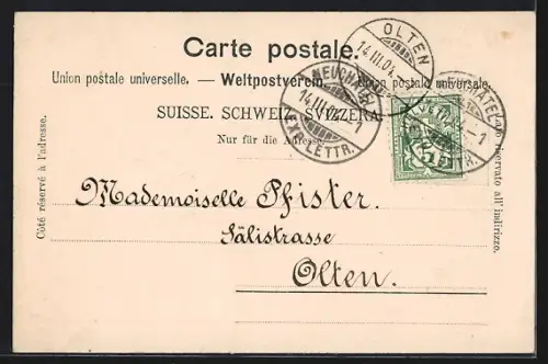 AK Neuchatel, Musée des Beaux-Arts