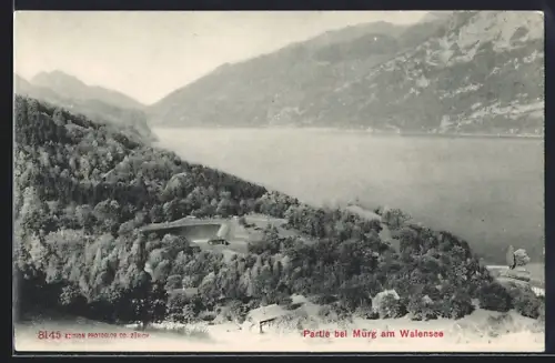 AK Murg am Walensee, Seepartie aus der Vogelschau