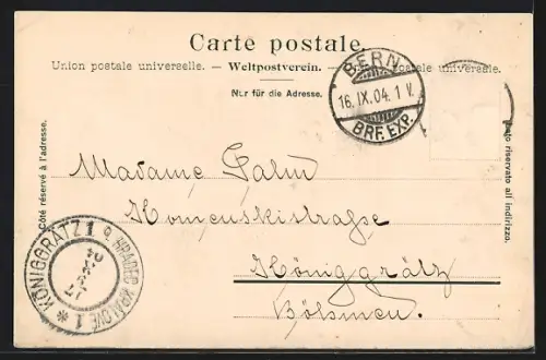 AK Bern, Ortsansicht mit Brücke und Alpen