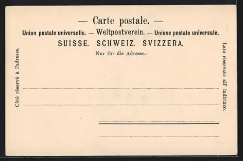 AK Bern, Teilansicht mit Festungsmauer und Kirche