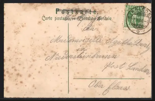 Künstler-AK Einsiedeln, Kloster mit Strassenpartie, Tannenzweig mit Vögeln im Winter, Passepartout