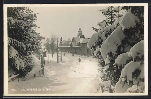 AK Caux-Palace, Panorama en hiver
