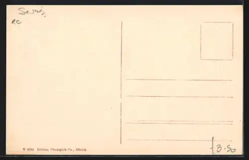 AK Wilderswil, Strassenpartie mit Brunnen