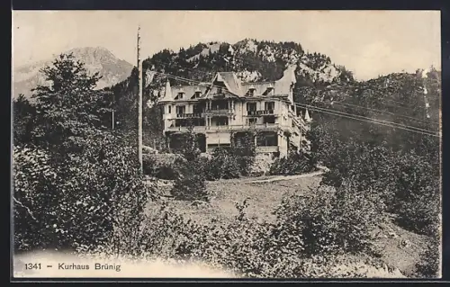 AK Brünig, Kurhaus mit Bergen