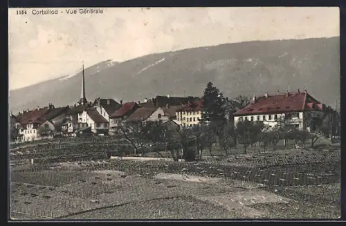AK Cortaillod, Vue Générale