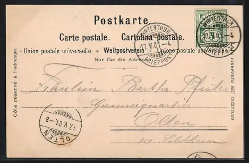 Lithographie Rigi, Bergbahn mit Rigi-Hotel