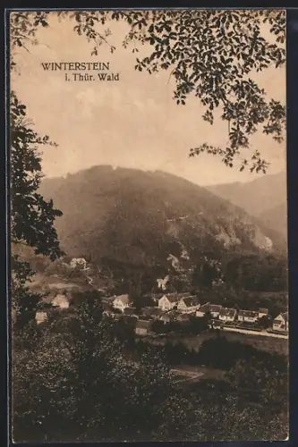 AK Winterstein i. Thür. Wald, Ortsansicht vom Berghang aus