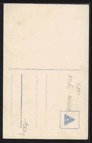 Foto-AK EAS Nr. 6813/3: Mignon, Junge Frau im bunten Kleid