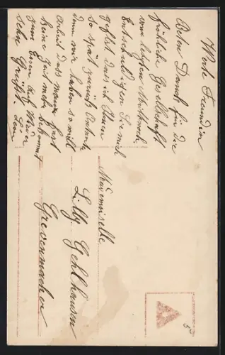 Foto-AK EAS Nr. 4071/5: Junge Frau mit Haarschmuck