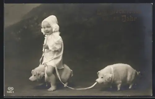 Foto-AK EAS Nr. 8465/1: Kleines Kind mit Plüschferkeln, Neujahrsgruss