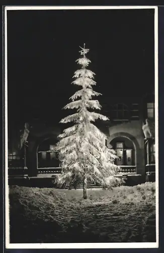Foto-AK Oberhof i. Thür., Strassenpartie mit Tannenbaum bei Nacht im Winter