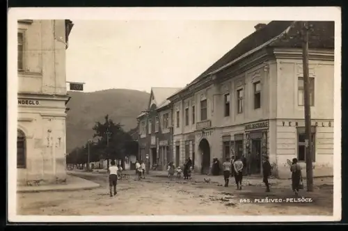 AK Plesivec, Pelsöcz