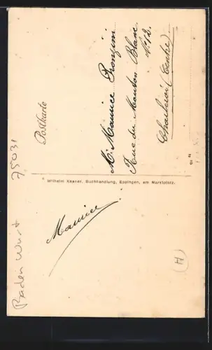 AK Eppingen, Partie a. d. Elsenz