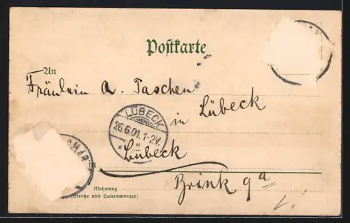 Lithographie Wismar, Alte Ansicht der Stadt anno 1716