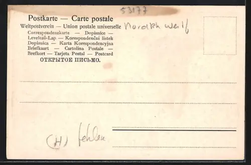 AK Bonn, Blick in die Coblenzerstrasse