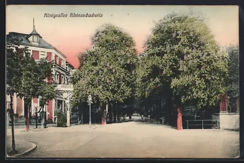 AK Dresden-Kleinzschachwitz, Gasthaus Waldpark in der Königsallee