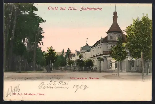 AK Dresden-Zschachwitz, Pension in der Hosterwitzer Strasse