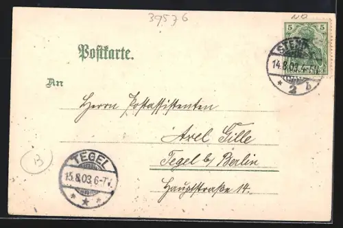Lithographie Stendal, Gymnasium, Gangermünder Tor mit Kreishaus, Marienkirche