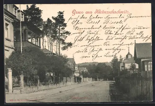 AK Dresden-Kleinzschachwitz, Partie in der Pillnitzerstrasse