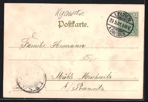 AK Dresden-Kleinzschachwitz, Partie in der Pillnitzerstrasse