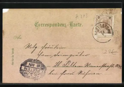 Lithographie Thaya, Ortsansicht von oben, Oberer Markt, Blumen, Strassenpartie