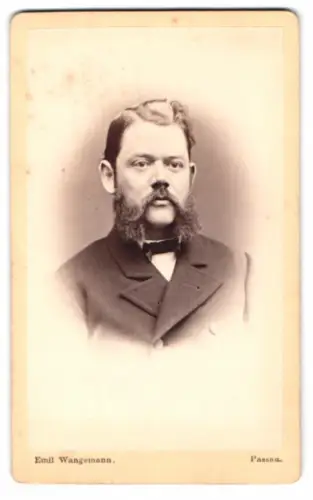 Fotografie Emil Wangemann, Passau, Theresienstrasse No. 393, Porträt eines Mannes mit markanten Koteletten