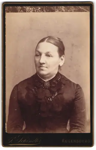 Fotografie P. Schindler, Regensburg, Strasse zur schönen Gelegenheit, Porträt einer Dame in elegantem Kleid