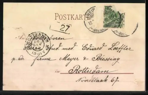 Lithographie Freiburg / Breisgau, Güntersthal, Münster vom Schlossberg gesehen