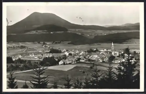 AK Saales /B. Rhén, Vue générale, au fond le Climont