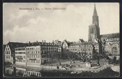 AK Strassburg i. Els., Neuer Fischmarkt