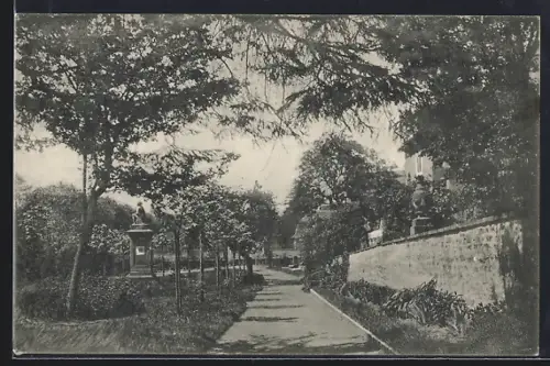 AK Saverne, Vue du parc avec allée et statue