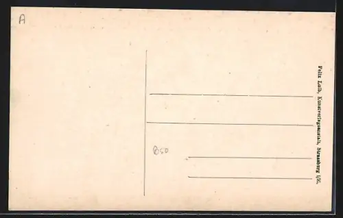 AK Saverne, Place du Château avec Hohbarr et Geroldseck