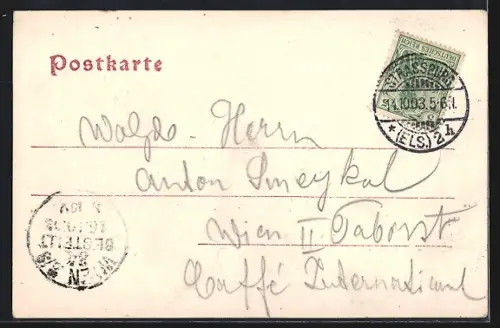 AK Strasbourg, Ancien Château au bord de l`eau