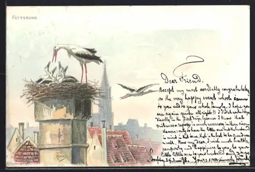Lithographie Strassburg, Storch füttert seine Jungen