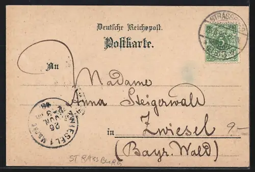 Lithographie Strassburg, Storch füttert seine Jungen