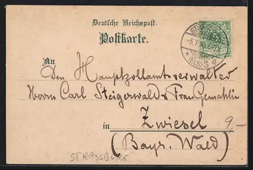 Lithographie Strassburg, Zwei Storchenpaar in ihrem Nestern, Sonnenschein und Gewitter