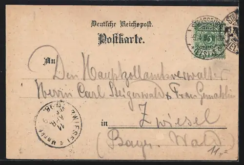 Lithographie Strassburg i. Els., Storche ziehen ab