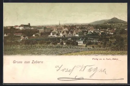 AK Zabern, Vue panoramique de la ville et des collines environnantes