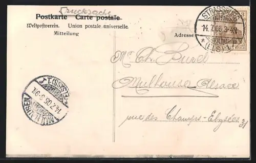 AK Strassburg, Blick auf die Universität