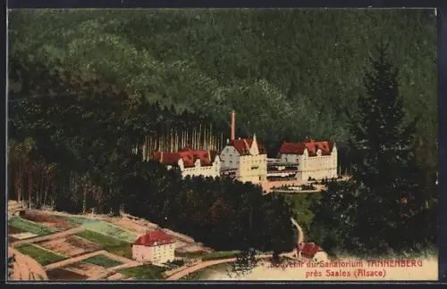 AK Saales /Alsace, Souvenir du Sanatorium Tannenberg dans la forêt alsacienne