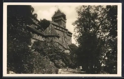 AK Haut Koenigsbourg, Vue du château entouré de verdure