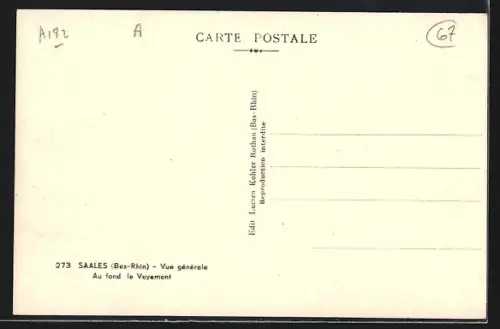 AK Saales /Bas-Rhin, Vue générale avec le Voyemont en arrière-plan