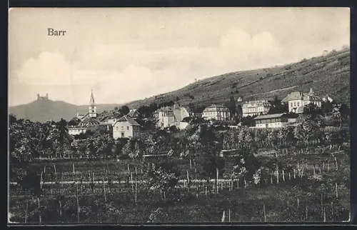 AK Barr, Vue du village et des vignobles sur la colline