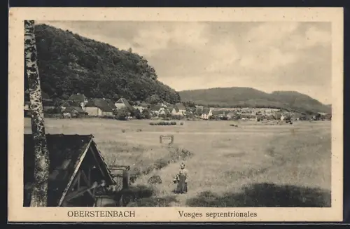 AK Obersteinbach /Vosges, Vue du village et des collines environnantes