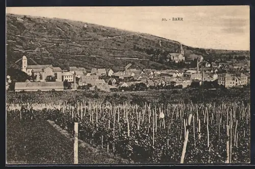 AK Barr, Vue du village et des vignobles environnants