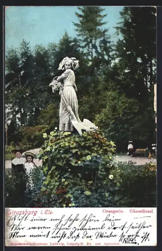 AK Strassburg /Els., Orangerie, Gänseliesel